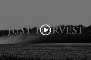 JustHarvest-book-trailer